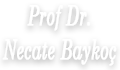 Prof. Dr. Necate Baykoç